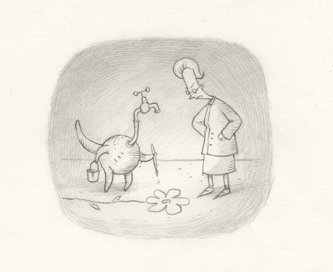 Shaun Tan art