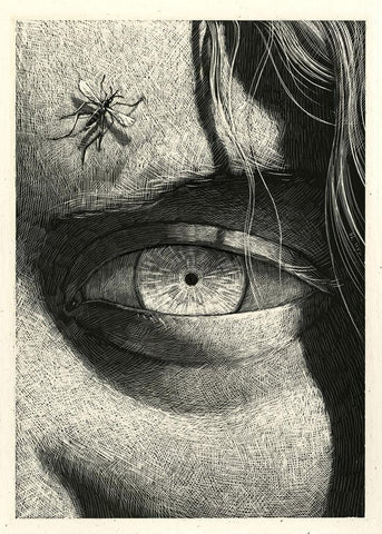 Shaun Tan - "The Watcher" (1998) - scratchboard